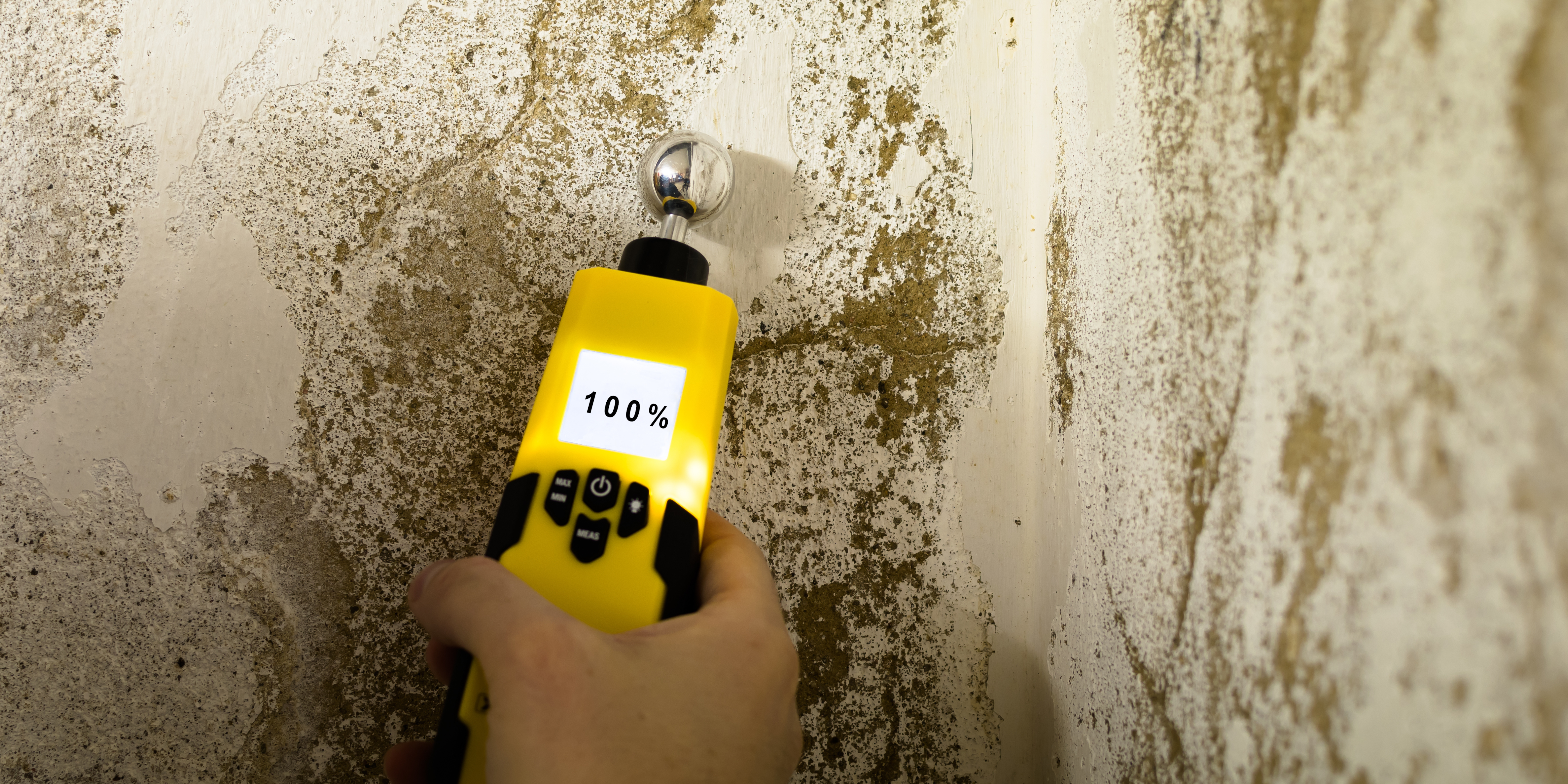 L'appareil qui évalue le taux d'humidité d'un mur.