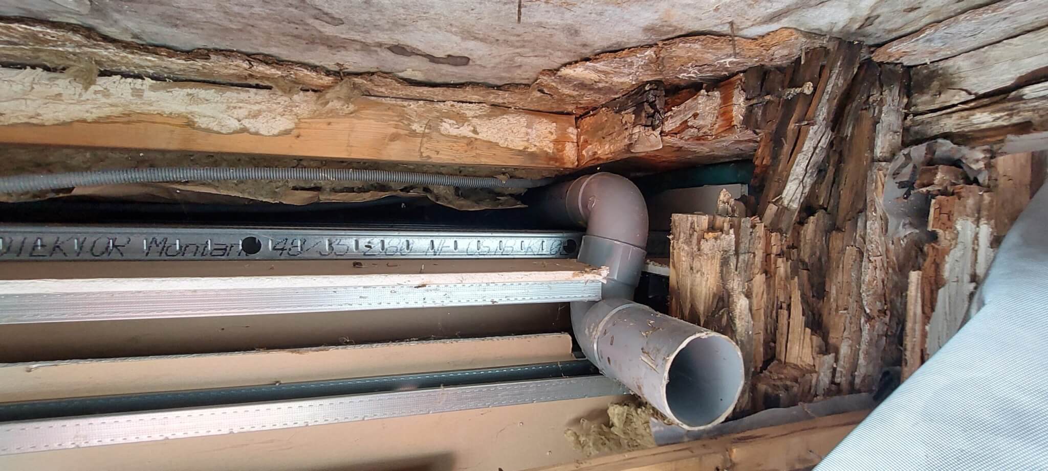 photo de poutres en bois en pleine décomposition à cause d'humidité