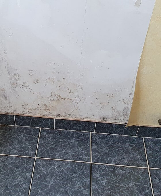 tâches d'humidité sur le mur d'une pièce d'eau