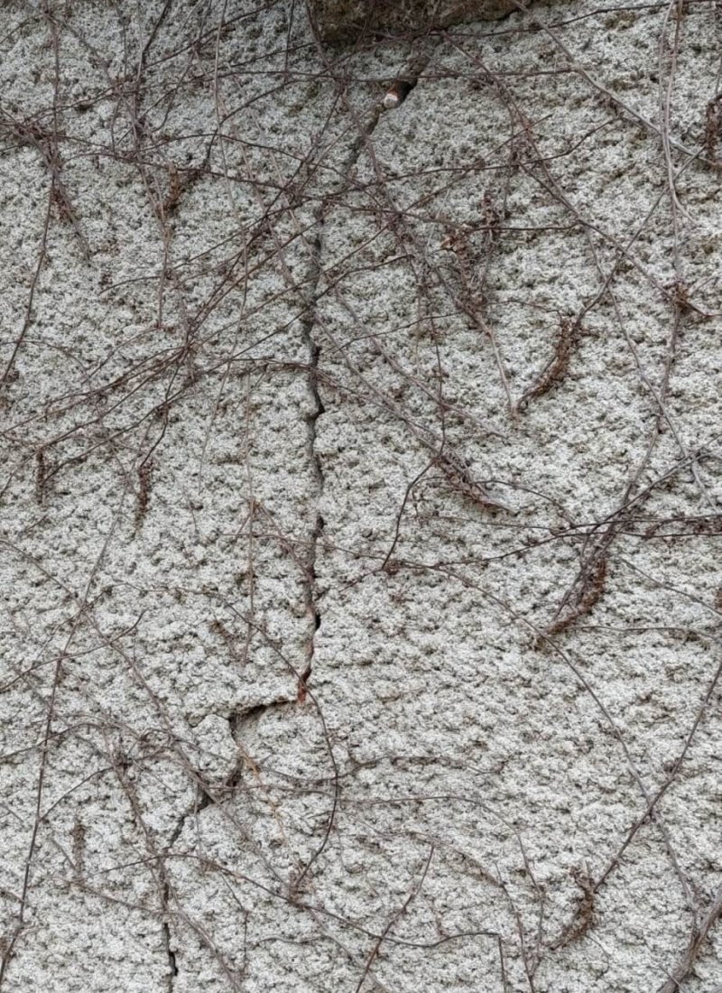 Photo d'une lézarde infiltrante sur un mur extérieur