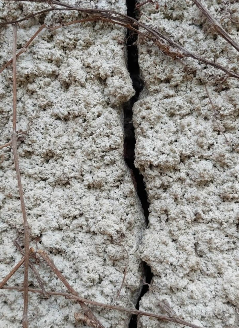 Zoom sur la lézarde infiltrante d'un mur extérieur
