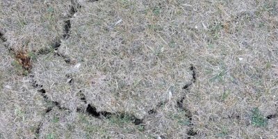 Photo de fissures dans un terrains dû à la sécheresse